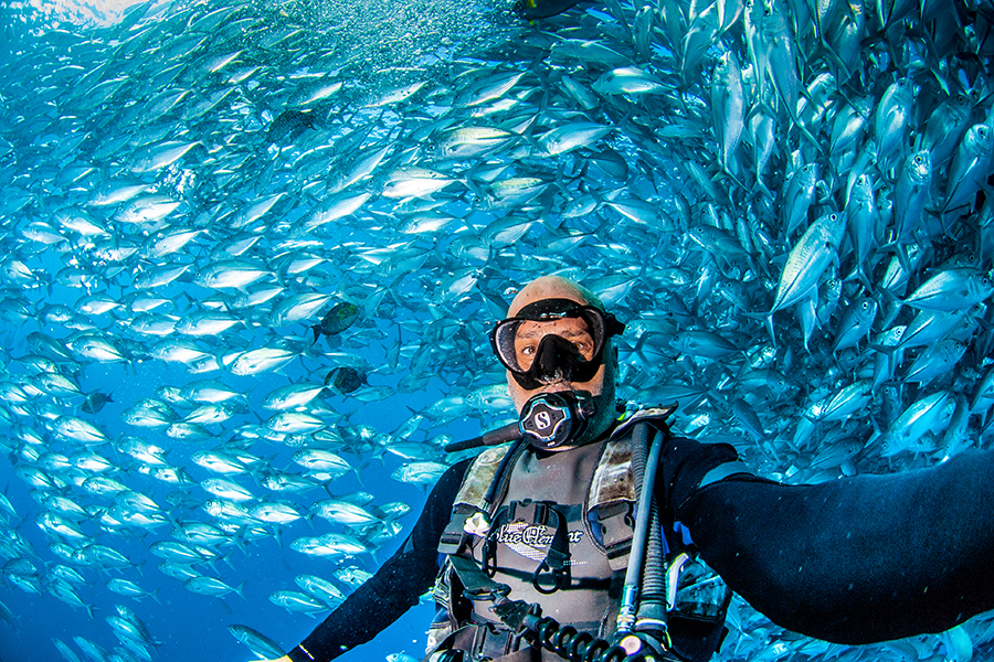 Man snorkeling underwater surrounded by a school of fish