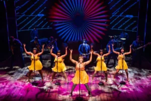 TINA – The Tina Turner Musical is showing at Adelaide’s Festival Theatre