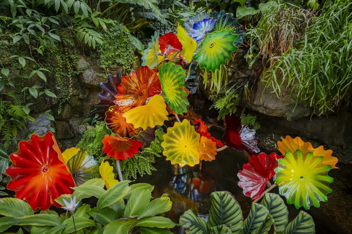 Chihuly In The Garden 2025 Cally Joelle