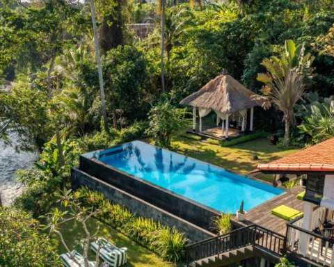 A serene pool surrounded by vibrant greenery in a lush tropical forest setting.