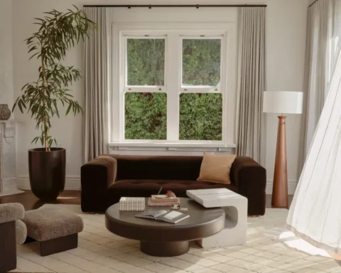 A cozy living room featuring a couch, coffee table, and a decorative plant.