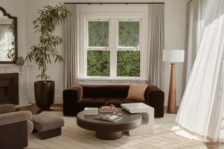 A cozy living room featuring a couch, coffee table, and a decorative plant.