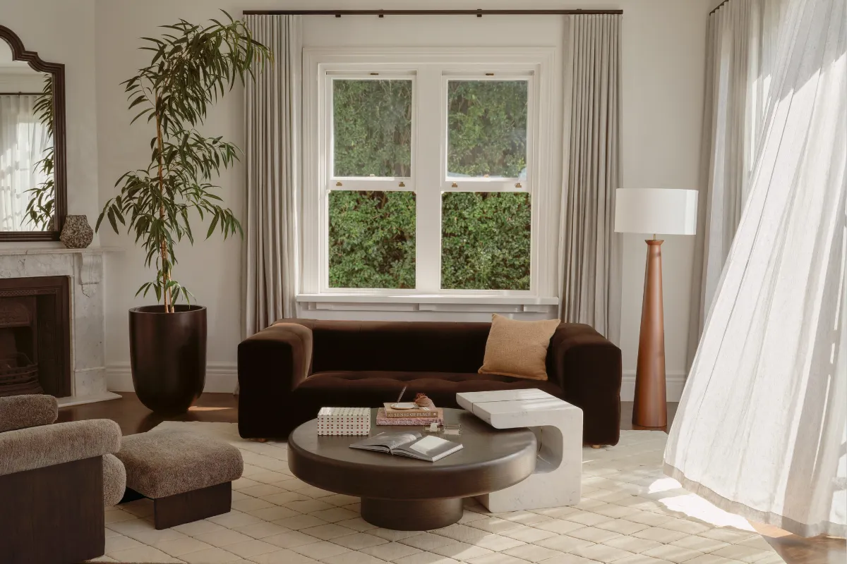 A cozy living room featuring a couch, coffee table, and a decorative plant.