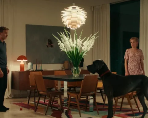 A man and woman stand in a cozy living room, smiling at each other with a dog sitting at their feet.