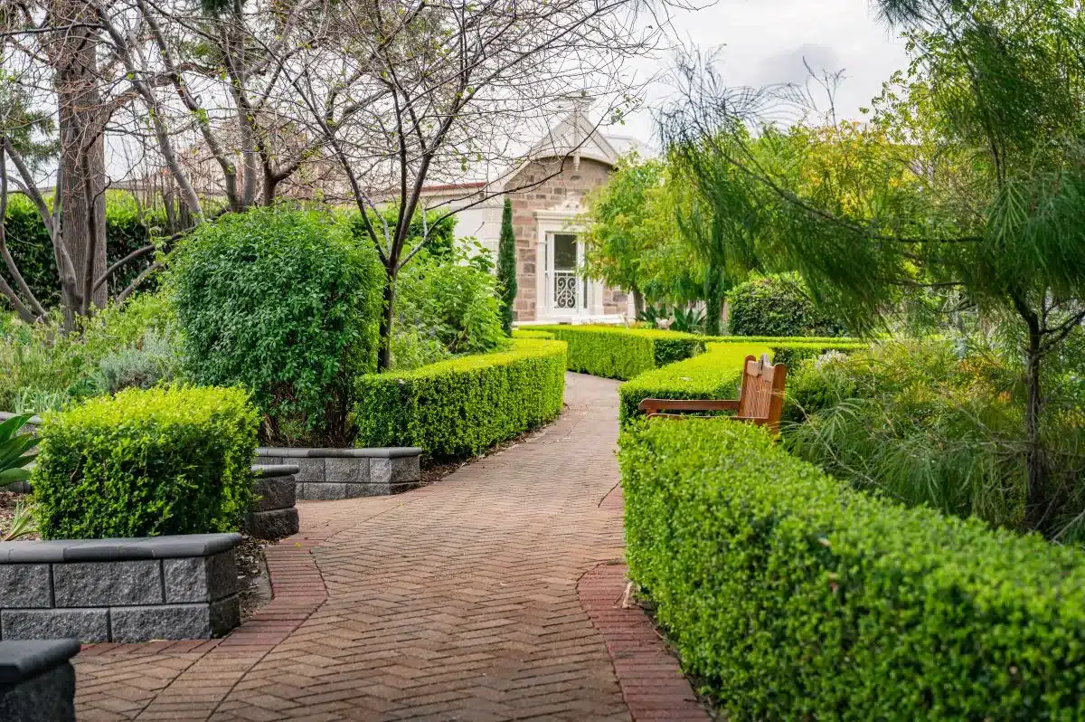 Alwyndor garden.