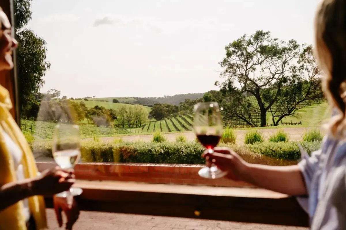 Two women clink wine glasses together, smiling, in a picturesque winery setting.