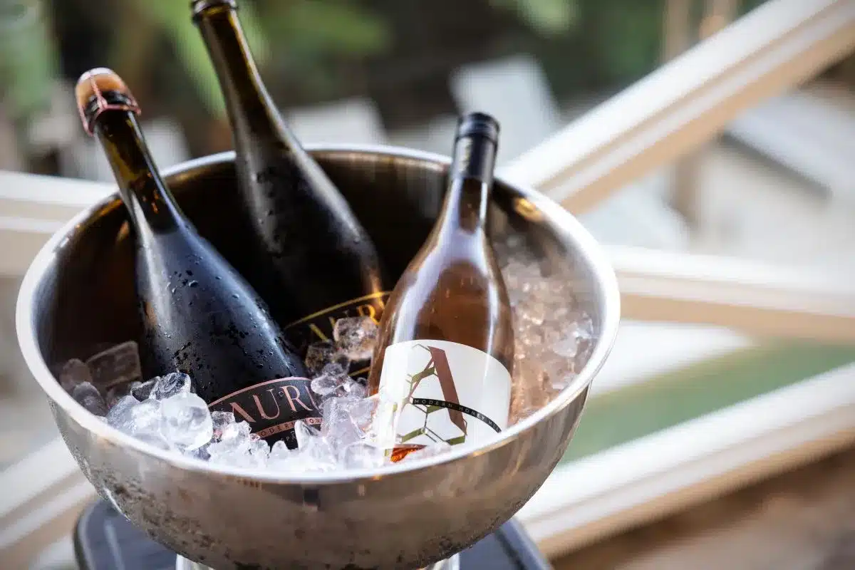 Three bottles of wine nestled in a metal bucket, showcasing a stylish presentation for a gathering or event.