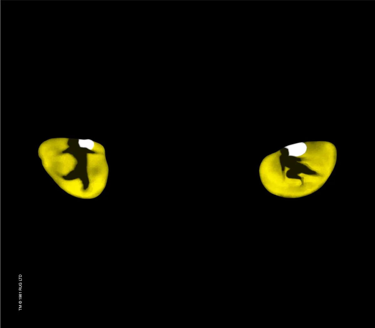 A close-up of a black cat's face, showcasing its glowing yellow eyes in a dark setting.