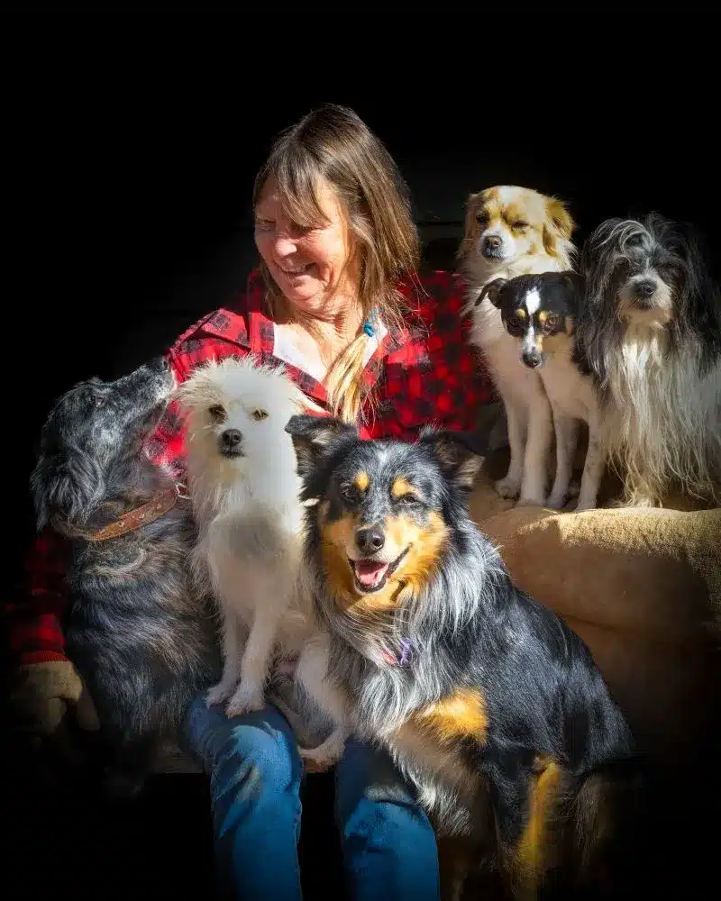A woman sits on a couch surrounded by several dogs, all appearing relaxed and content in a cozy living room setting.