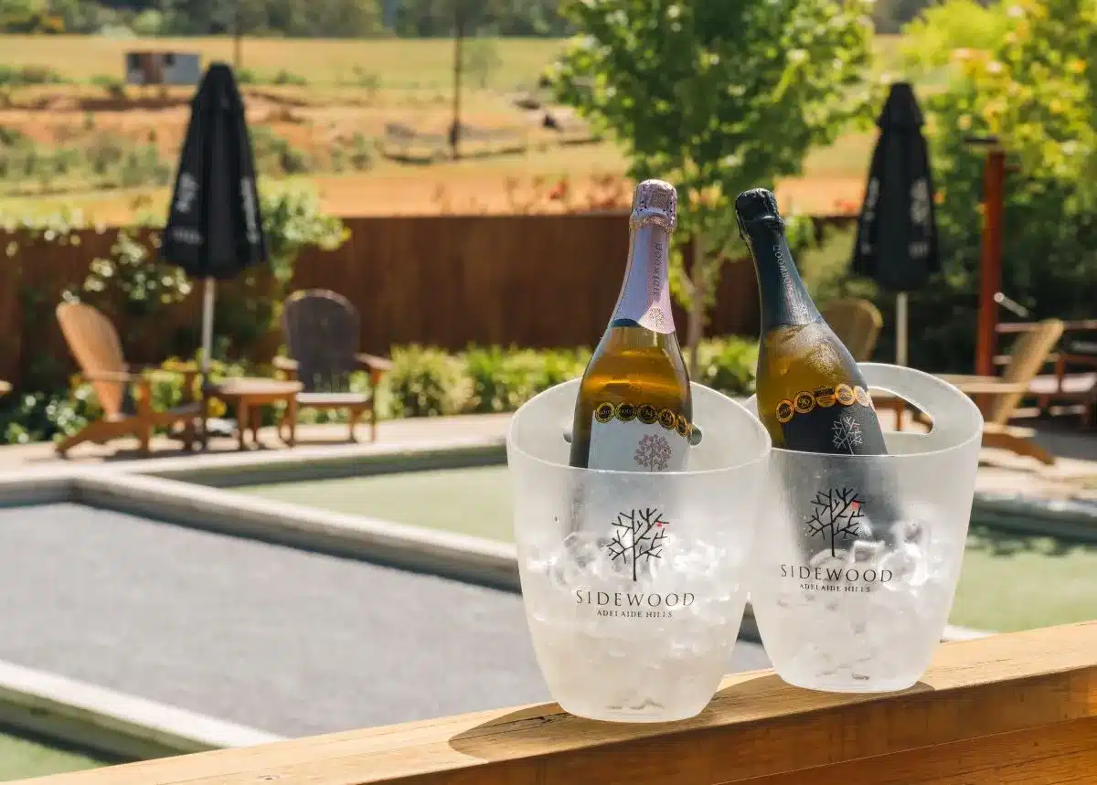 Two bottles of wine in ice buckets placed on a wooden deck, surrounded by a scenic outdoor setting.