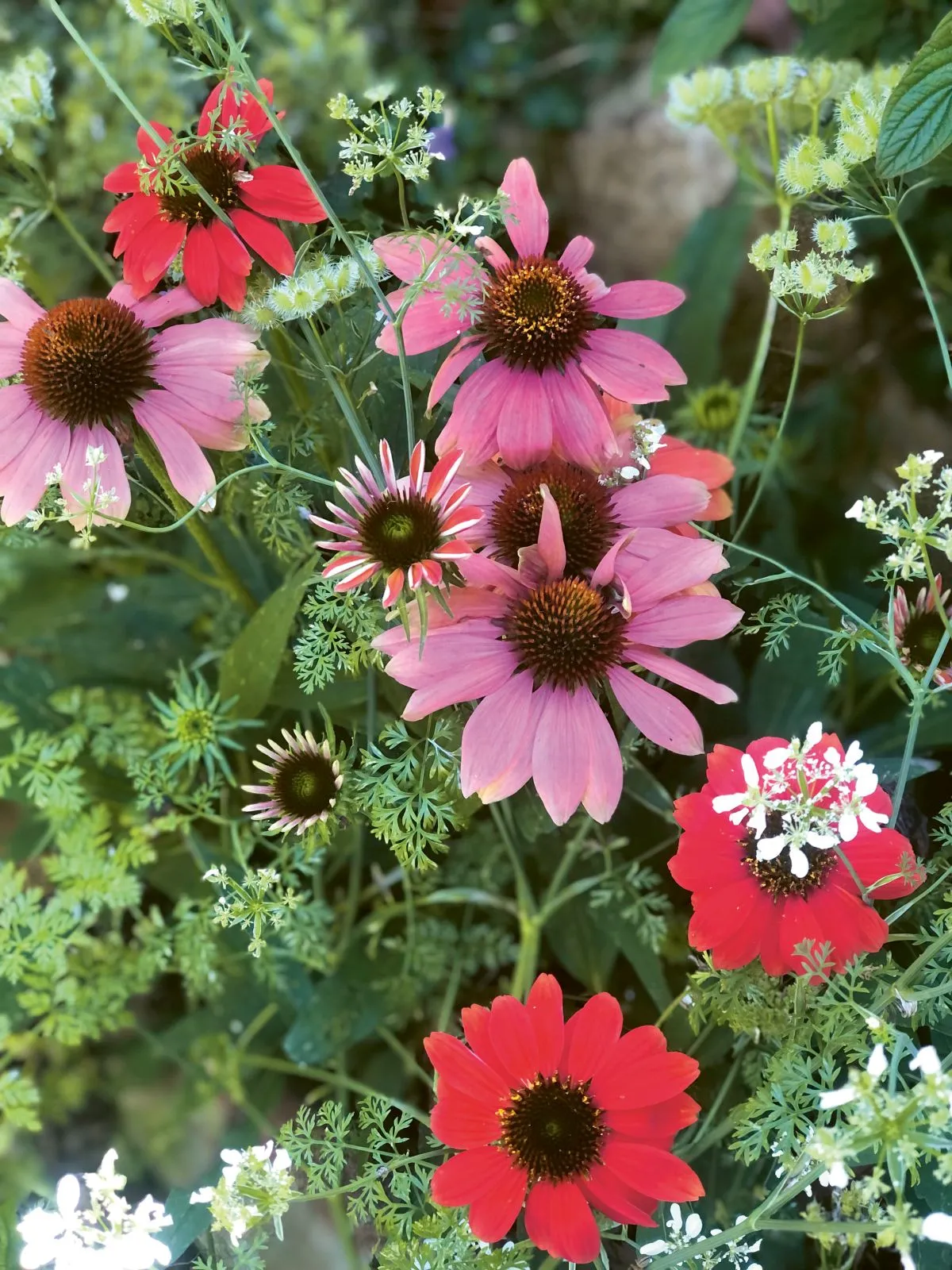 Flowers.