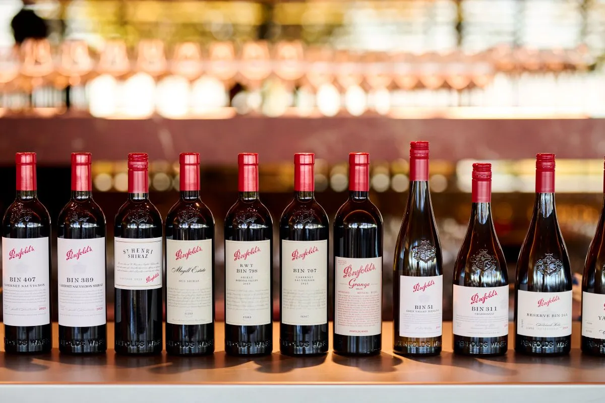 A row of wine bottles displayed on a wooden table, showcasing various labels and colors.