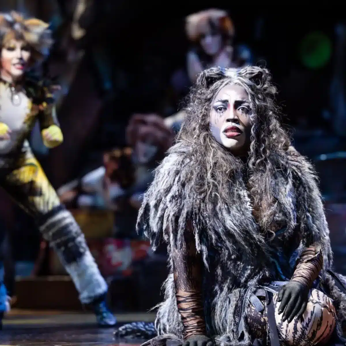 CATS The Musical on stage.