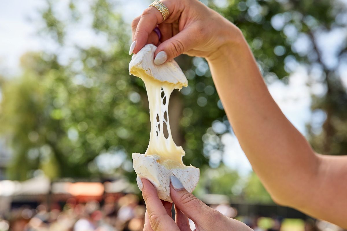 CheeseFest.