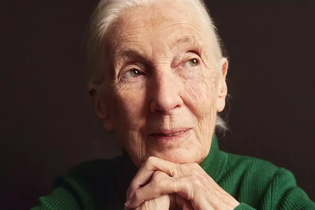 An older woman resting her chin on her hands, looking thoughtfully into the distance.