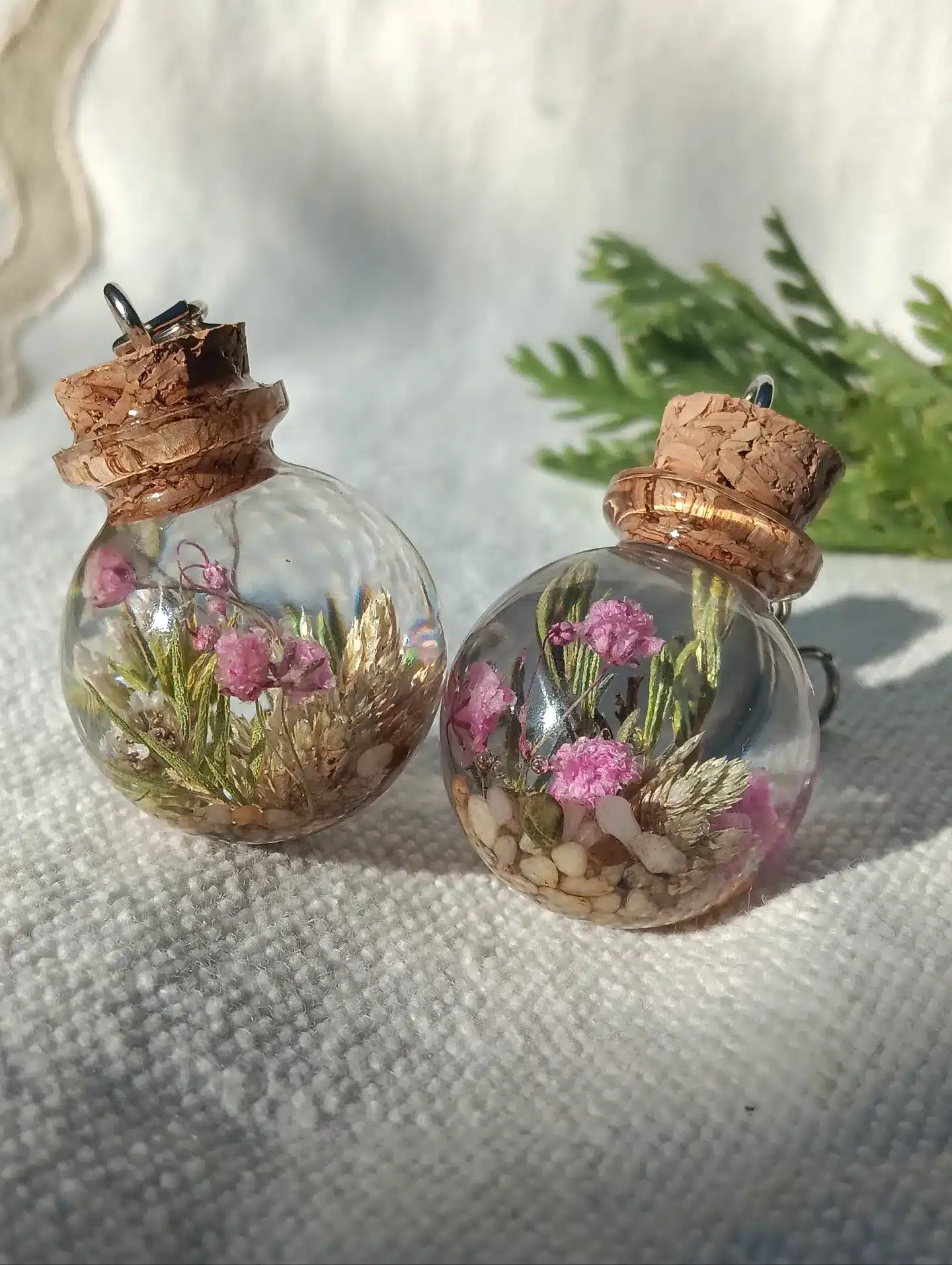 Two glass bottles containing small green plants, showcasing a simple and elegant indoor gardening display.
