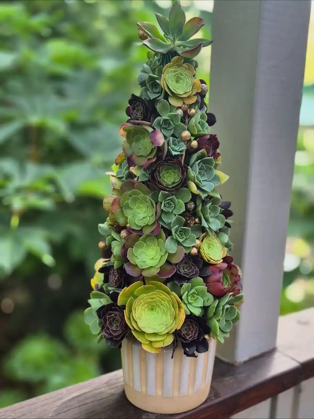 A small succulent Christmas tree in a decorative pot, showcasing vibrant green leaves and a festive appearance.