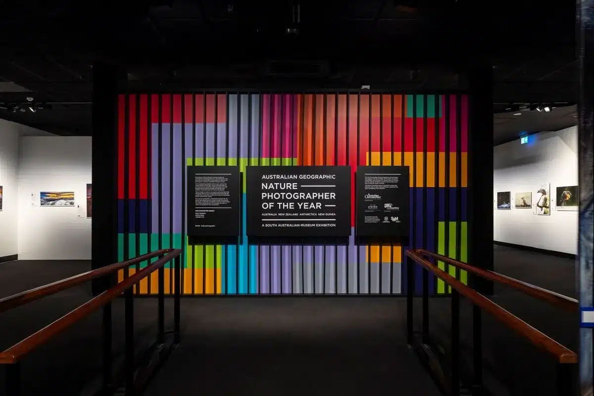 South Australian Museum