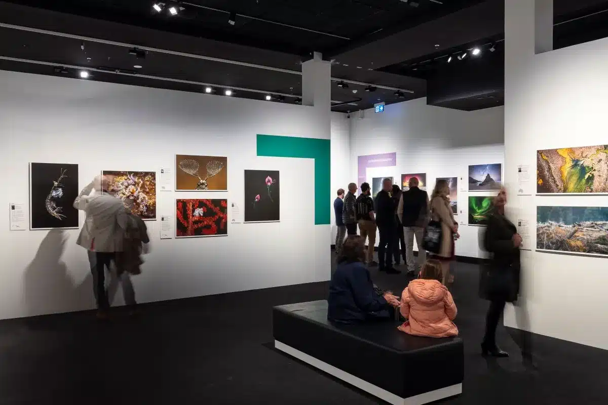 A group of people admiring various artworks displayed in an exhibition hall.
