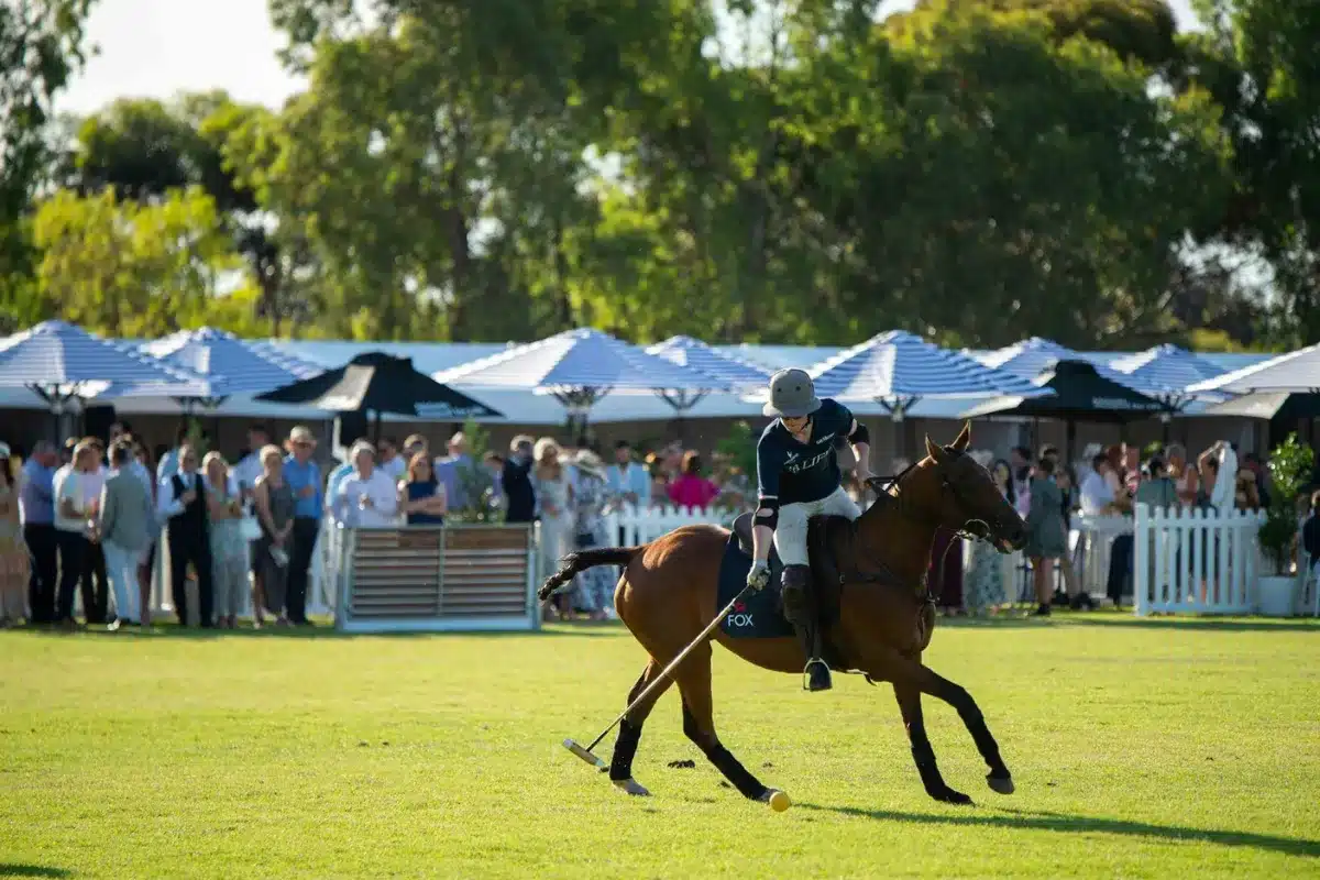 A lively polo match taking place at an outdoor event, with spectators enjoying the game in a sunny setting.
