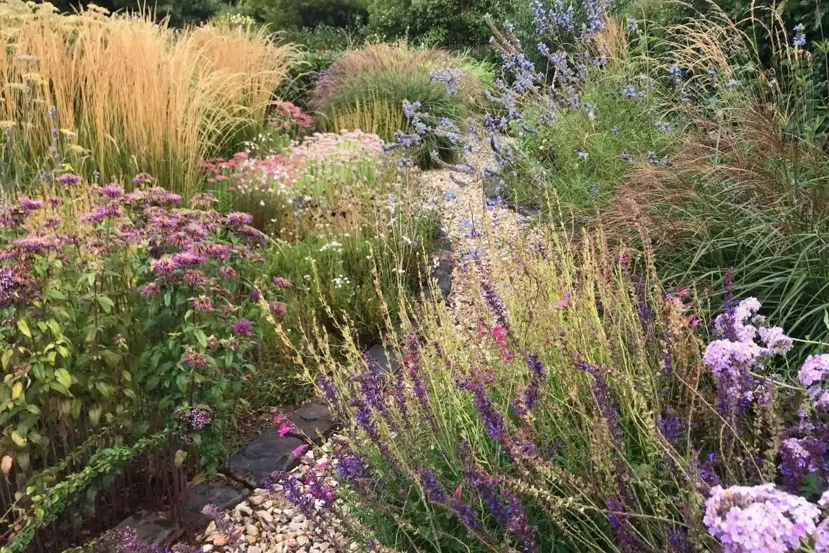 A serene garden featuring a gravel path surrounded by a diverse array of vibrant plants and greenery.