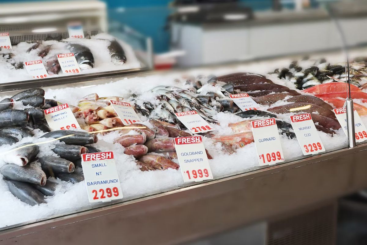Samtass Seafood, Adelaide, South Australia seafood shop counter.