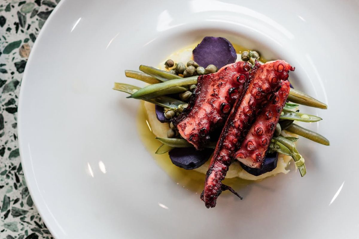 A plate of Octopus from Bibo restaurant, Adelaide.