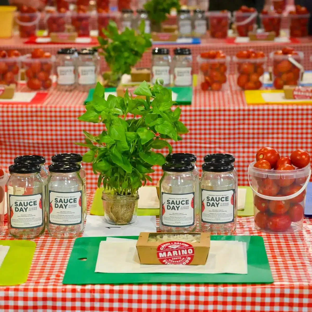 tomatoes, basil and jars on a tartan red tablecloth.