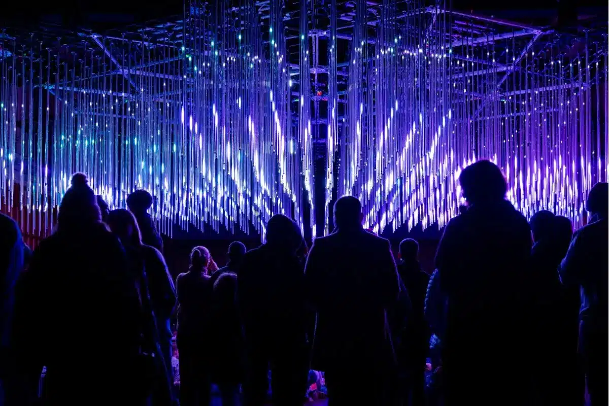 Silhouettes of a crowd standing before a large immersive light installation featuring cascading vertical LED tubes glowing in vivid purple and blue, part of the Illuminate Adelaide City Lights program.