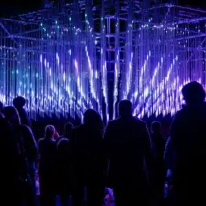 Silhouettes of a crowd standing before a large immersive light installation featuring cascading vertical LED tubes glowing in vivid purple and blue, part of the Illuminate Adelaide City Lights program.