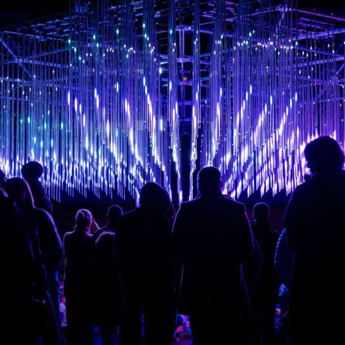 Silhouettes of a crowd standing before a large immersive light installation featuring cascading vertical LED tubes glowing in vivid purple and blue, part of the Illuminate Adelaide City Lights program.