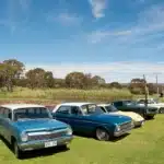 A lineup of classic Australian vintage cars including a teal Holden station wagon and Ford Falcon sedan, parked on a green lawn beside a dam with gum trees and blue sky in the background