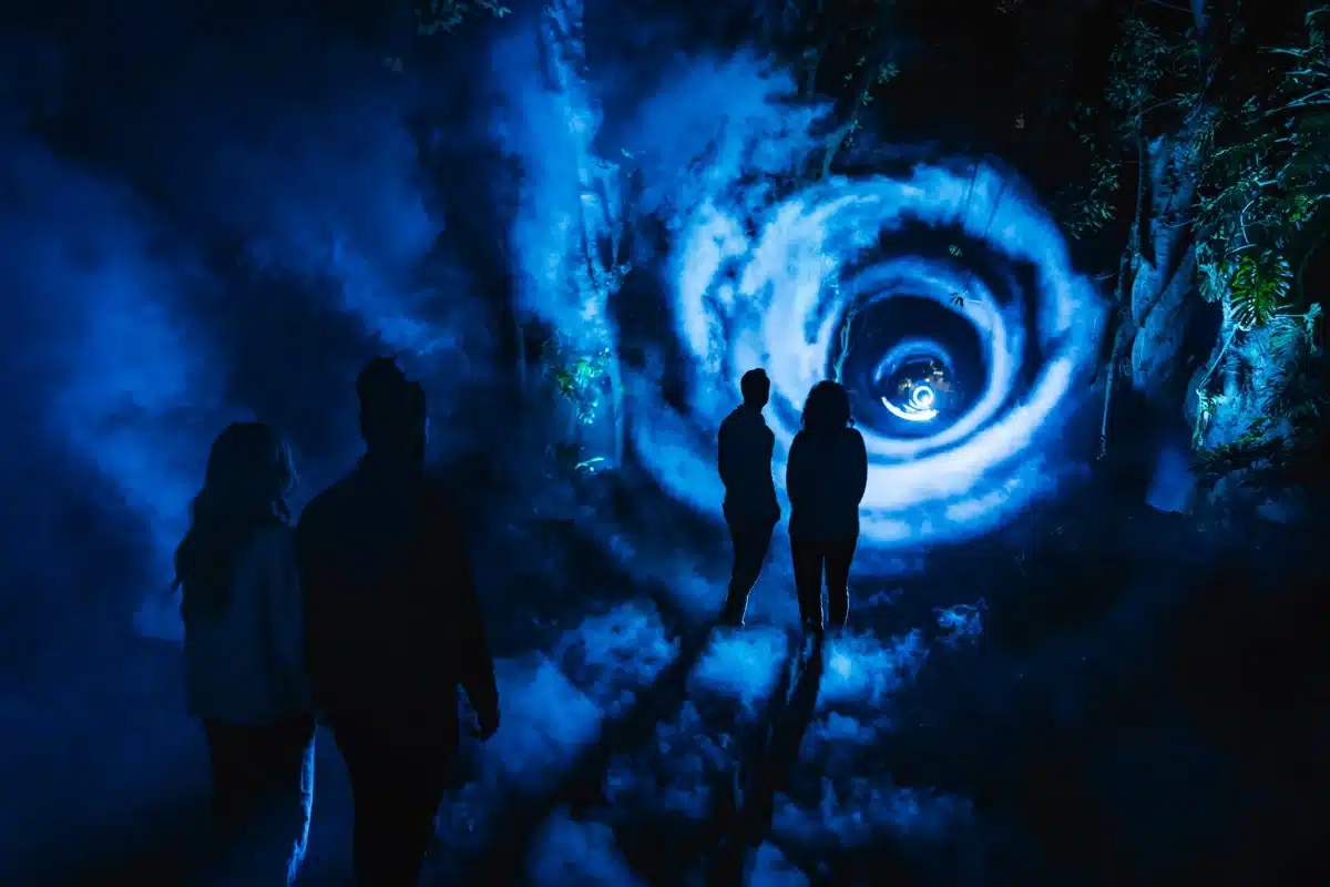 Illuminate - Night Visions