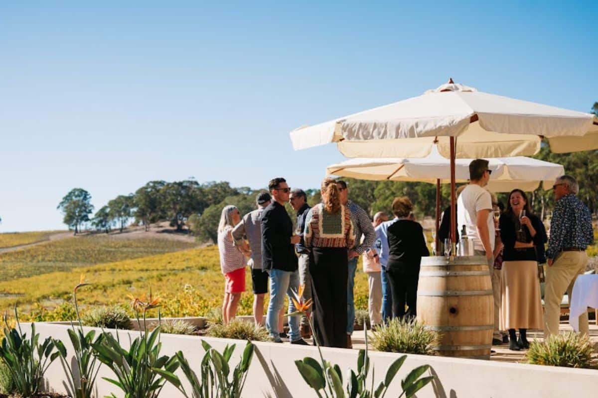Guests mingle outdoors at a vineyard event, gathering around wine barrels beneath large white umbrellas with rolling golden vines and blue sky in the background.