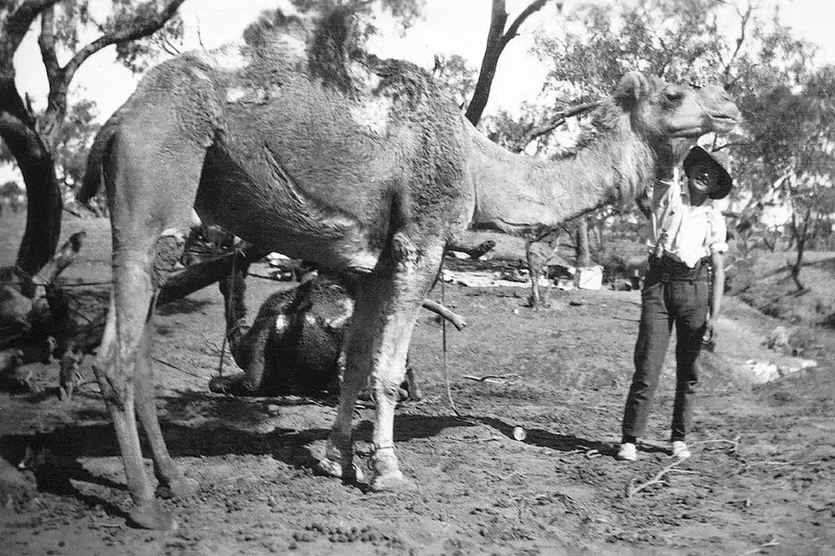 R.M.Williams founder of boots and leather craftsmanship representing Australian outback heritage