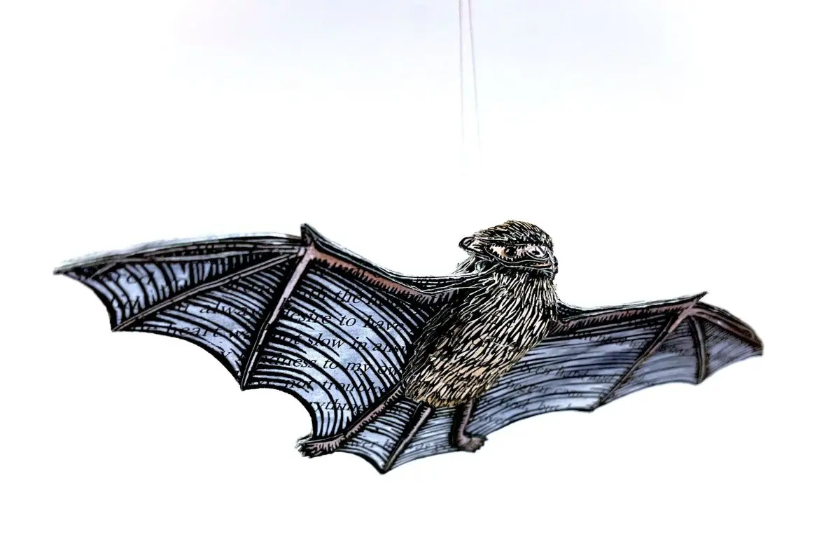 A handcrafted artwork of a bat in flight, suspended by a thread, with wings decorated in intricate line illustrations and handwritten text on a white background.