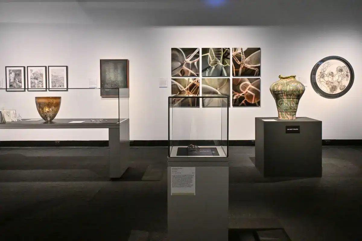 Interior view of a museum gallery featuring framed artworks, macro photography panels, a bronze bowl, a glass display case containing a spider sculpture, and a large decorative ceramic vase.