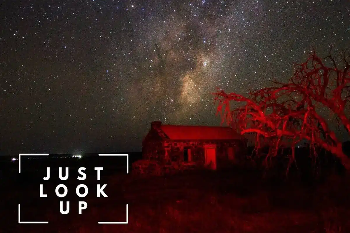 Night sky filled with stars over regional South Australia during astronomy event