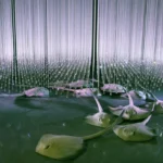 Abdul-Rahman Abdullah, Pretty Beach, 2019