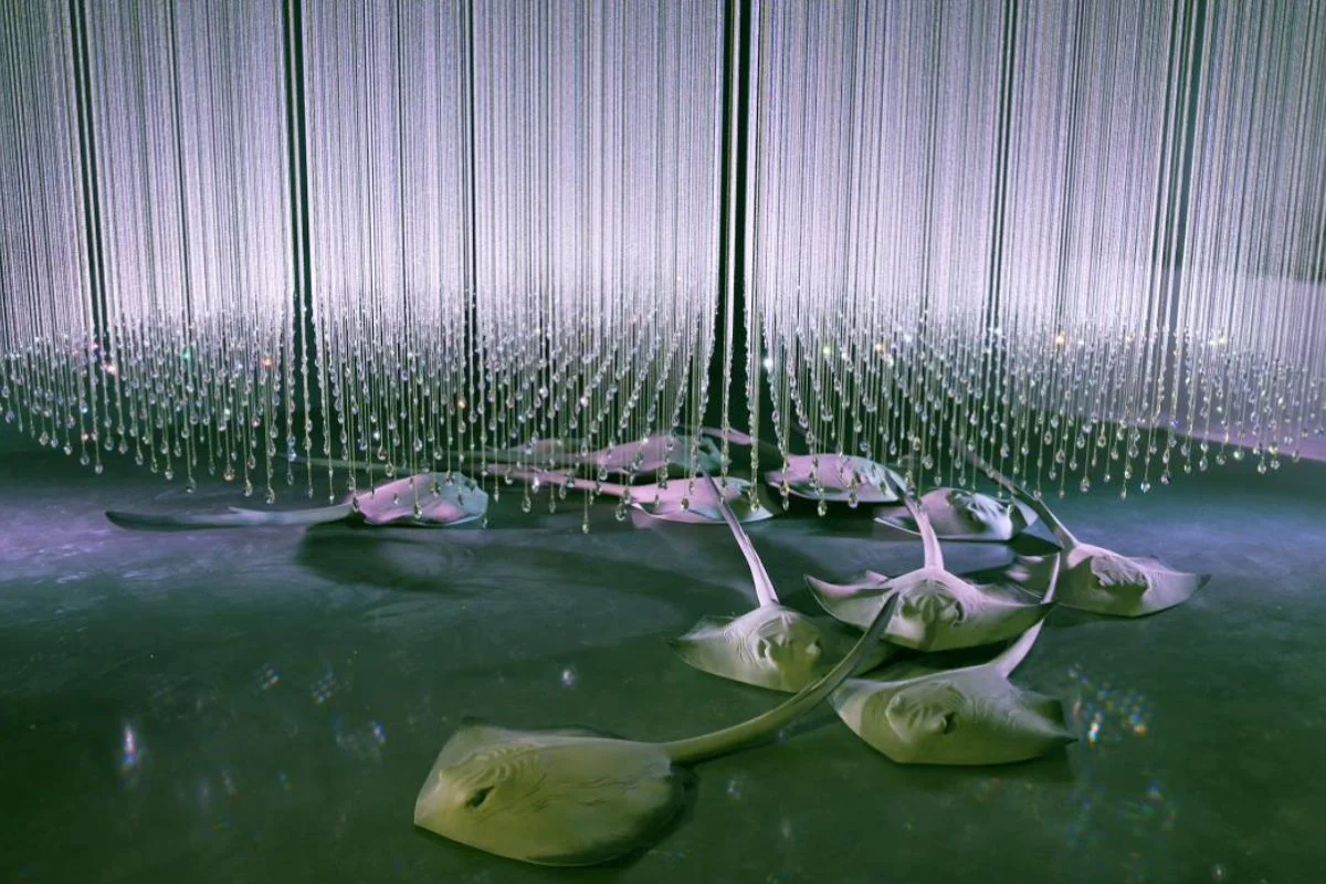 Abdul-Rahman Abdullah, Pretty Beach, 2019