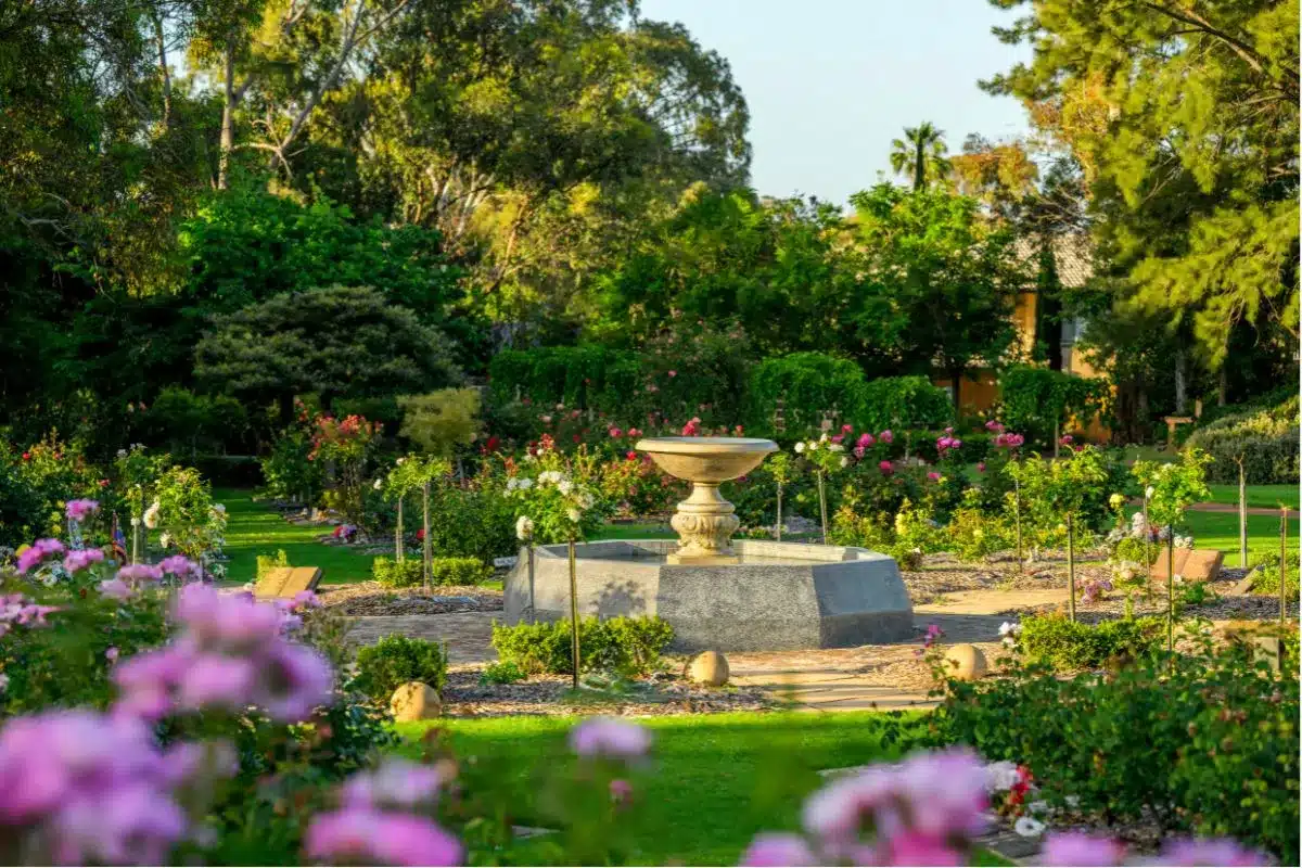 Gardens surrounding a small water fountain in Centennial Park, Adelaide.