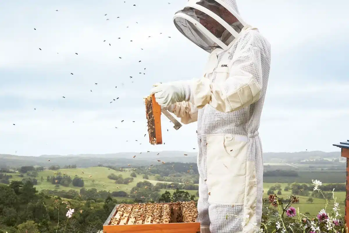 A bee keeper in a bee suit tends to a hive on a hill top.
