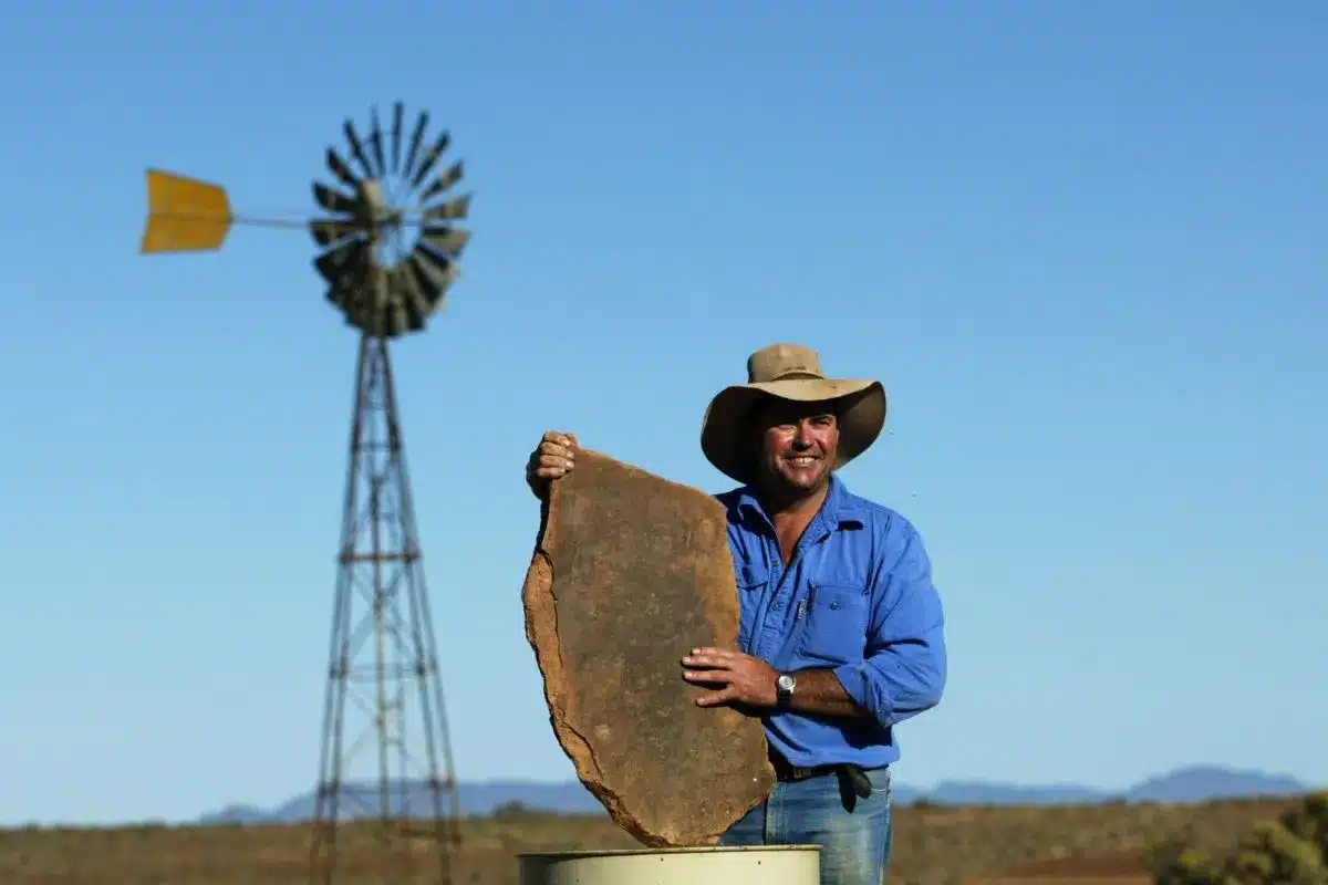 Ross Fargher holds a sandstone slab containing Ediacaran fossils at Nilpena Station in the Flinders Ranges, with a windmill and outback landscape behind him