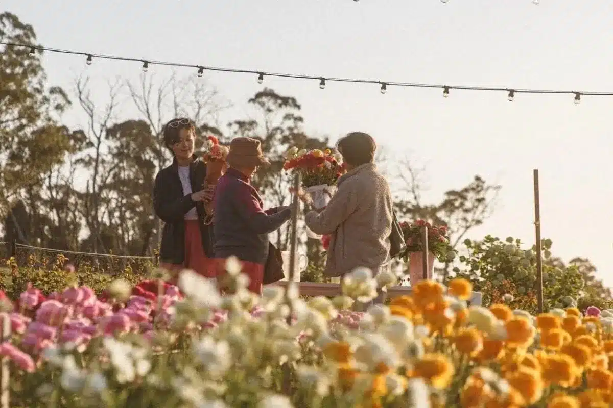 Three visitors gather among colourful ranunculus blooms at Charleston Farm in the Adelaide Hills, each holding freshly picked bouquets in the warm afternoon light