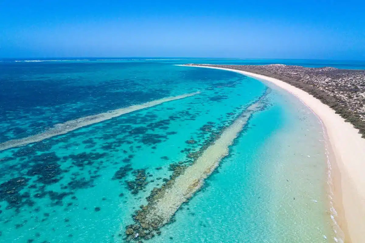 An aerial view of Ningaloo Reef showing vivid turquoise coral gardens running parallel to a white sand beach along the Western Australian coastline