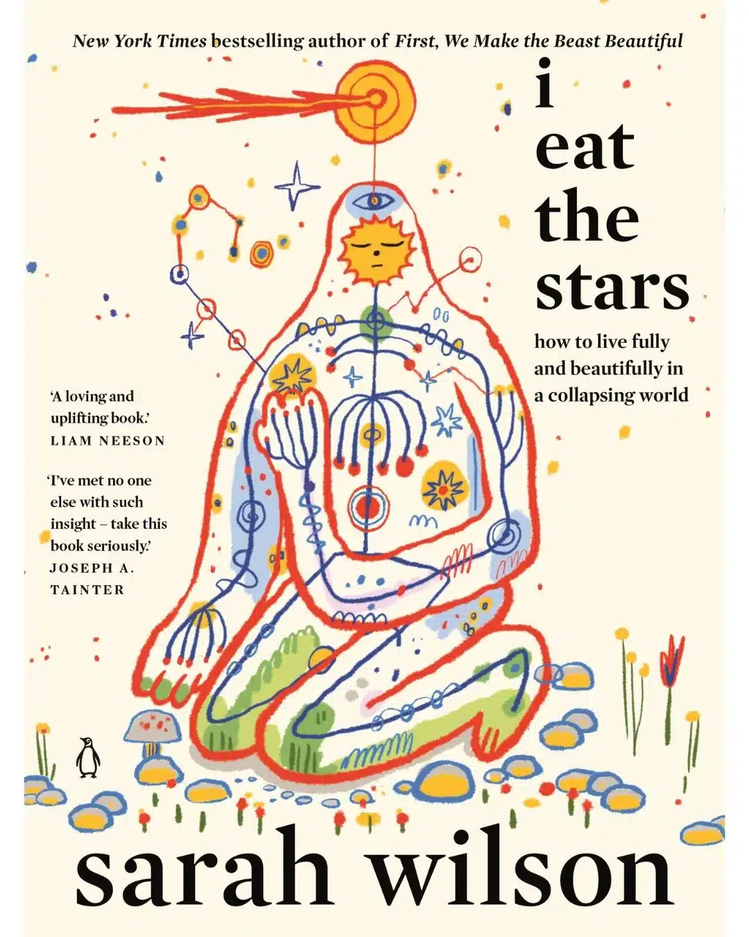 Book cover -Sarah Wilson - I Eat The Stars.