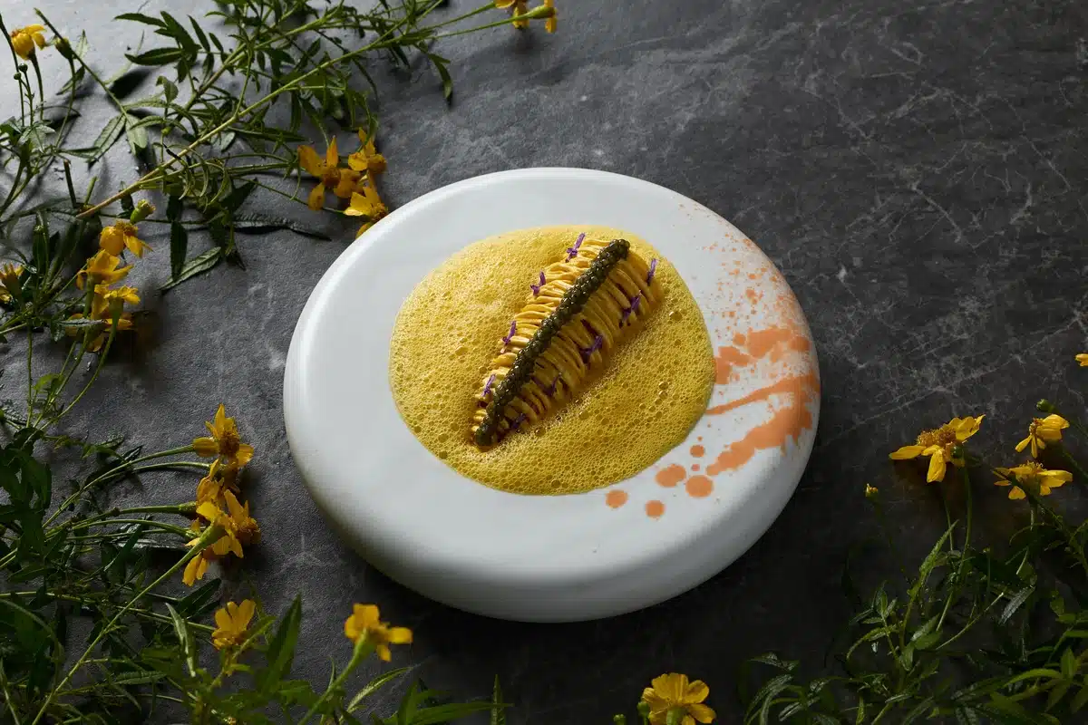 Hardy's Verandah Restaurant - golden caviar dish with foam and edible flowers on a white plate