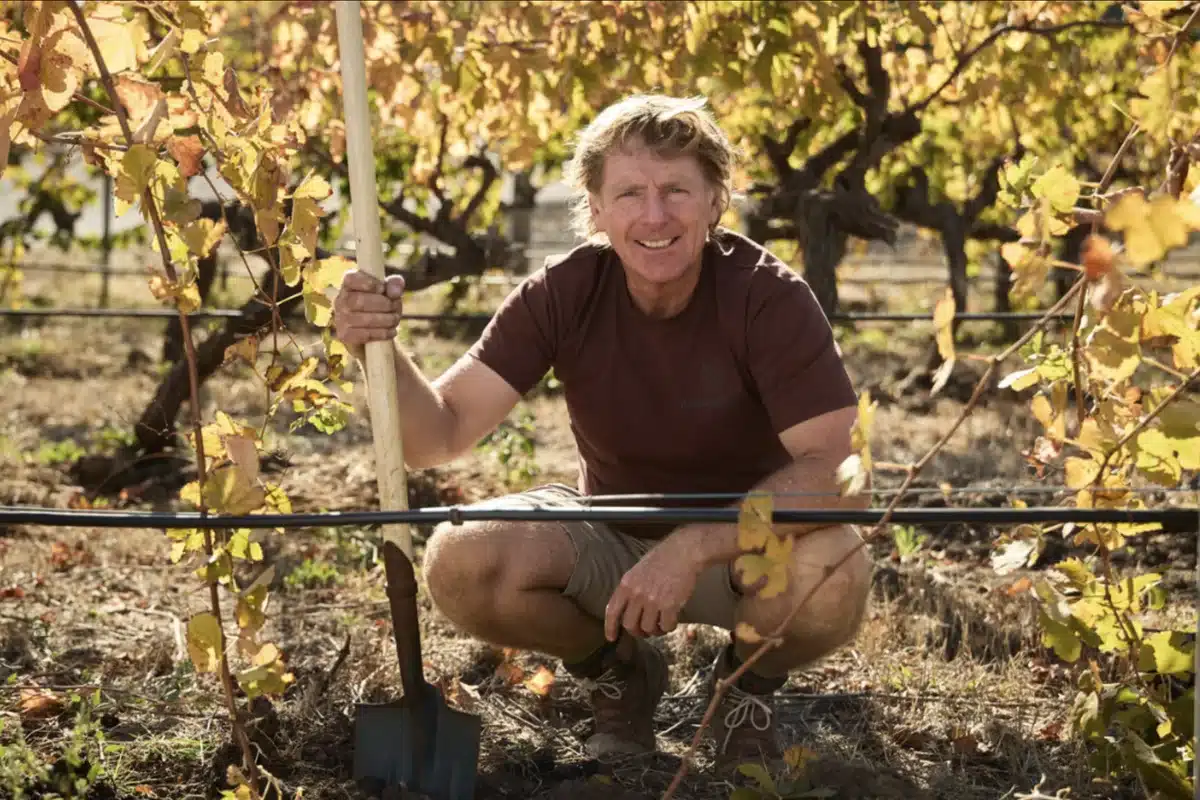 Richard Wellsmore, viticulturist at Maxwell Wines, standing among vines in McLaren Vale.