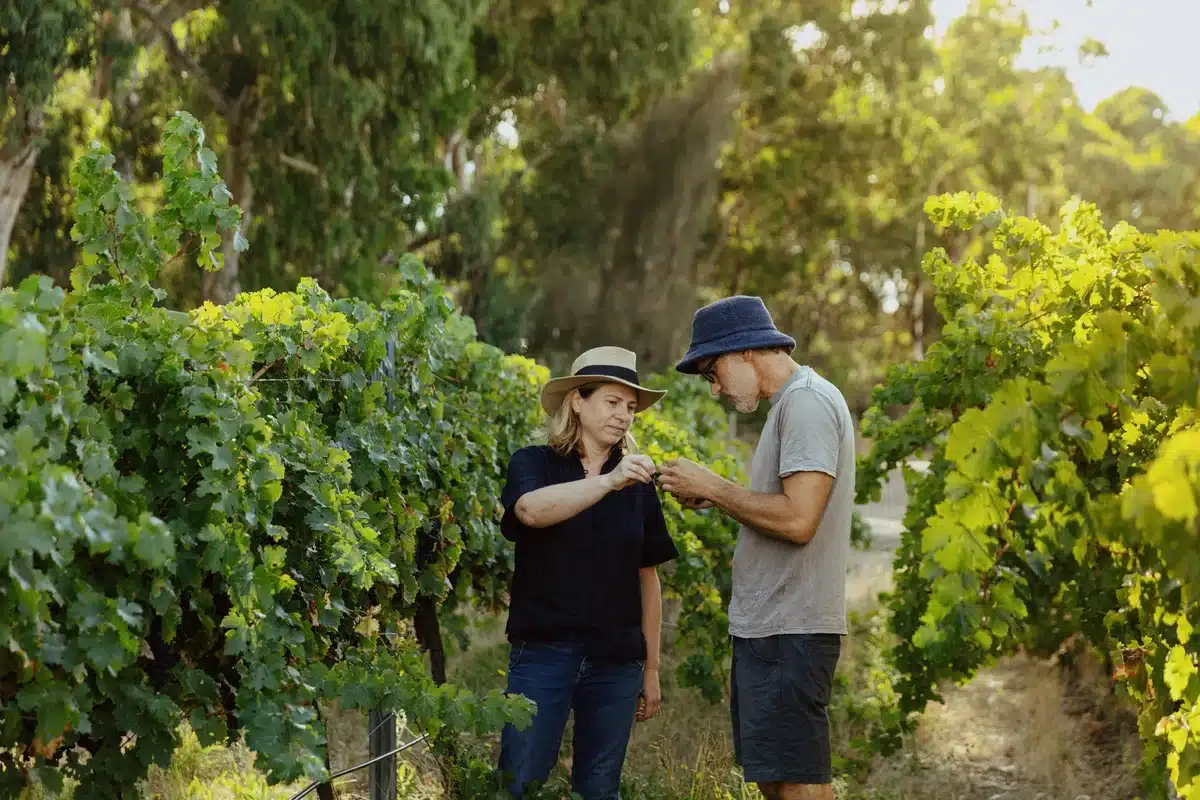Wirra Wirra Vineyards team members standing together among the vines.