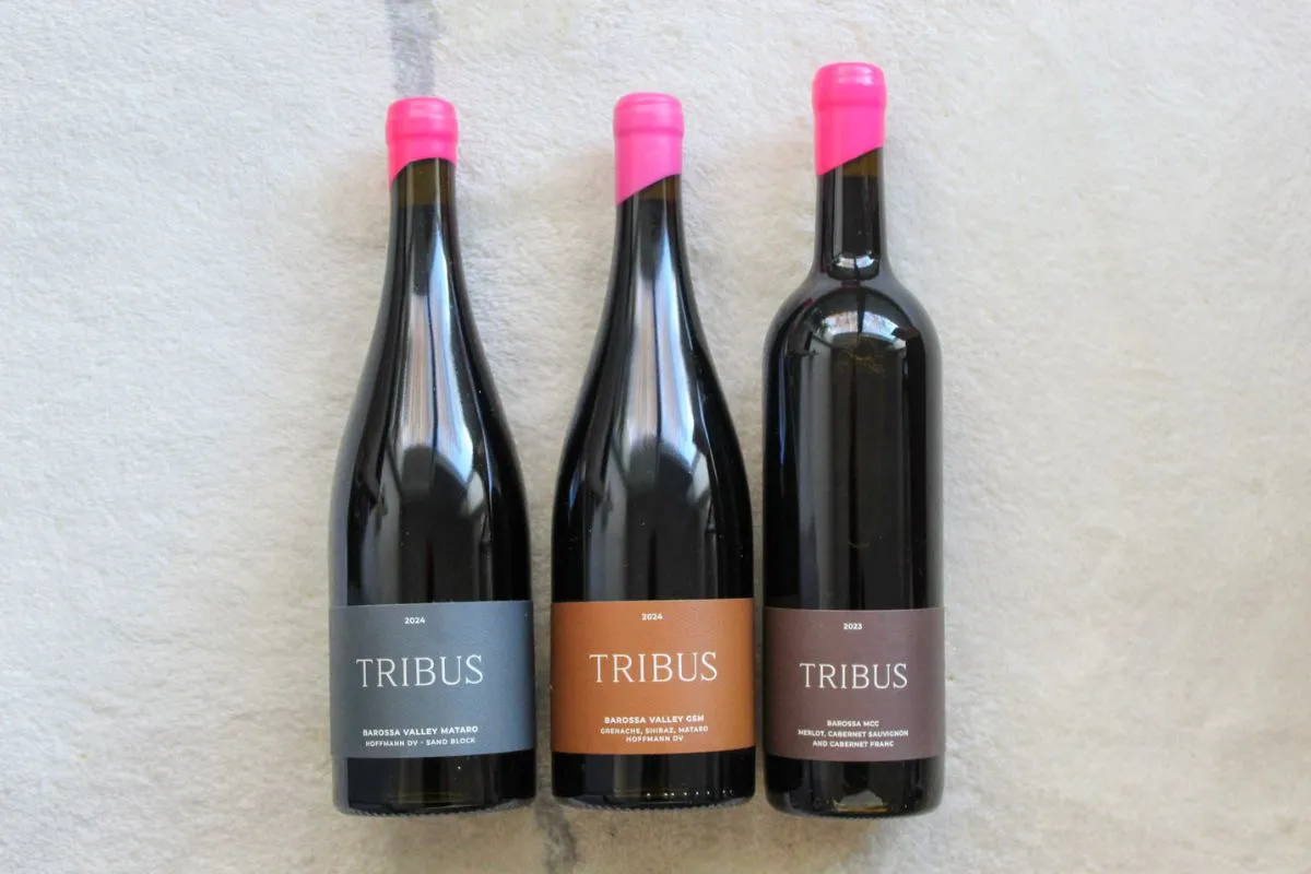 Three bottles of Tribus wine with pink foil caps lying side by side on a light textured surface, labelled Barossa Valley Mataro 2024, Barossa Valley GSM 2024 and Barossa MCC 2023.